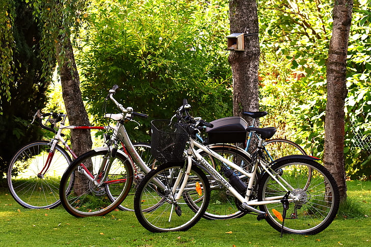 biciclette, ciclo, bici, ruota, escursioni in bicicletta, Sport, veicolo a due ruote