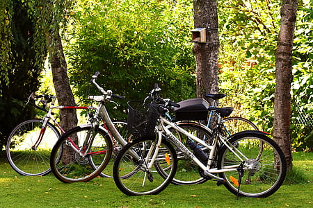 ποδήλατα, κύκλος, ποδήλατο, τροχός, Ποδηλασία, Αθλητισμός, δύο τροχοφόρο όχημα