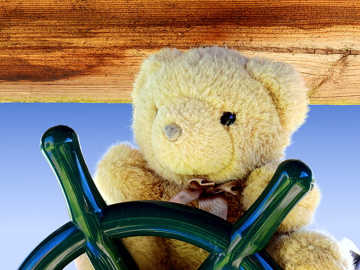 Teddy, mehke igrače, polnjene živali, medvedi, polnjene živali, medved, kosmate medvedek