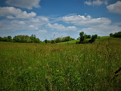 pemandangan, alam, lembah hijau saya, rumput, langit, bidang, pertanian