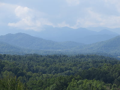 Blue ridge, montagnes, nature, paysage, Virginie, Parkway, Forest