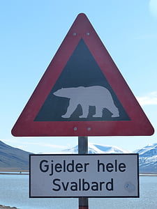 polar bears, caution, spitsbergen