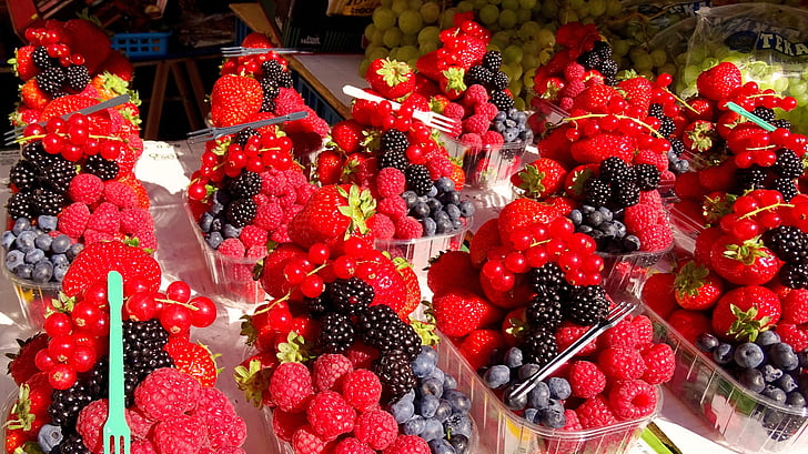 puu, punane, puuviljad, suvel, maasikas, marjad