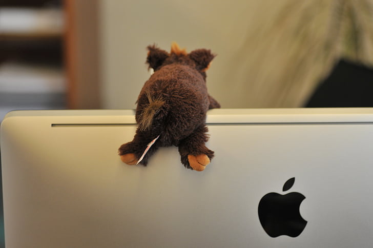 screen, apple, logo, mac, stuffed animal, imac, office