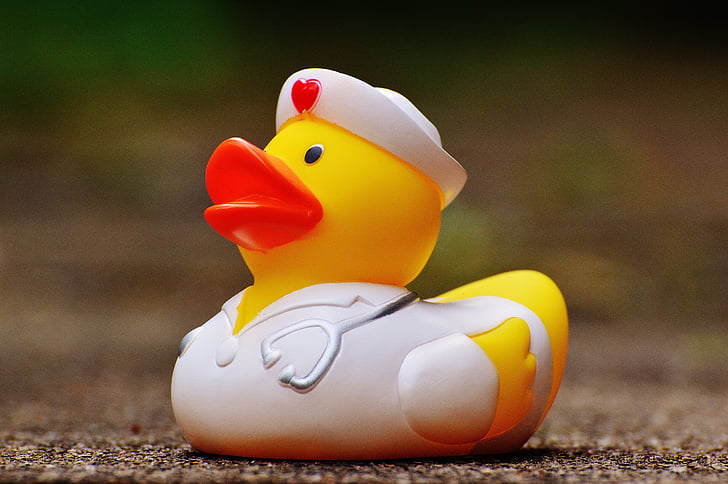rubber duck, bath duck, nurse, quietscheente, funny summer, cute, sweet