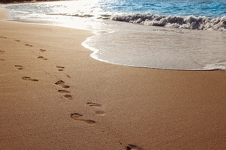 пісок, пляж, океан, води, сліди, піщаний пляж, літо