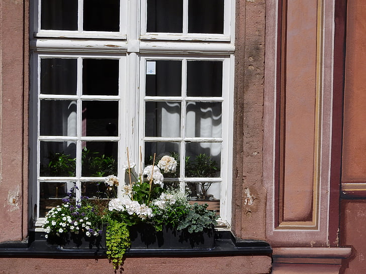 venster, bloemen op het venster, doos met bloemen