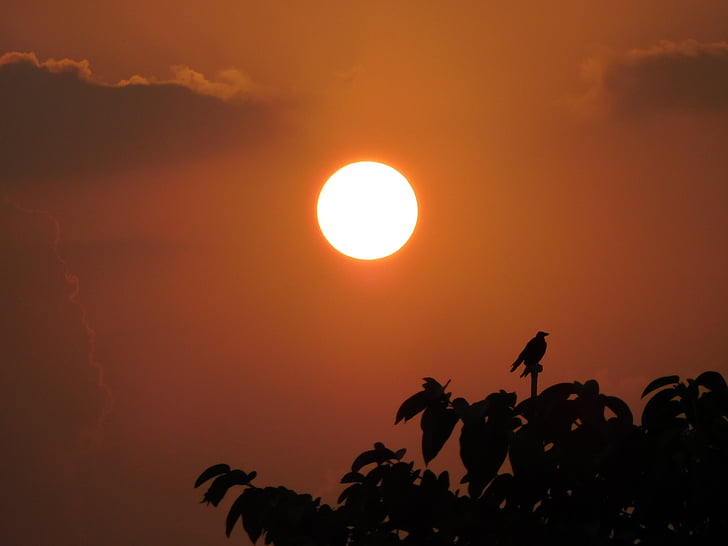 Indien, solopgang, sommer, solen