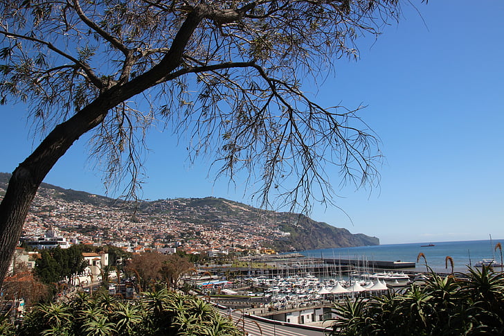 Madeira, Funchal, Portugália, sziget, utazás, város, óceán