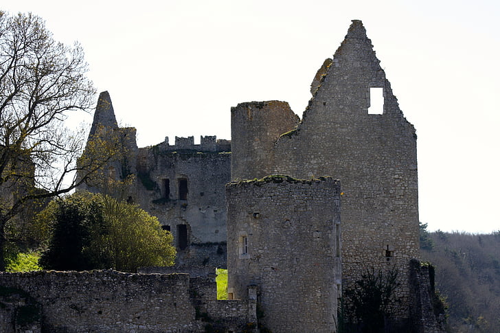 vinkler sur l'anglin, Frankrike slottsruinene, franske slottet, bær, middelalderslott ruinene bær Frankrike
