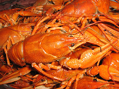 crabs, fish, lobster, beer, food, dinner