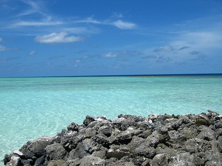 Deniz, Maldivler, Yaz, sıcak, tatil, tatil, şeffaflık