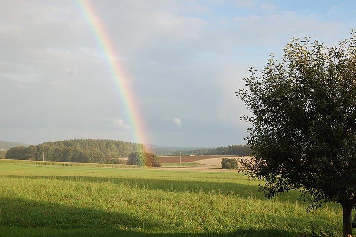 rainbow, meadow, light, nature, sky, mood, natural spectacle