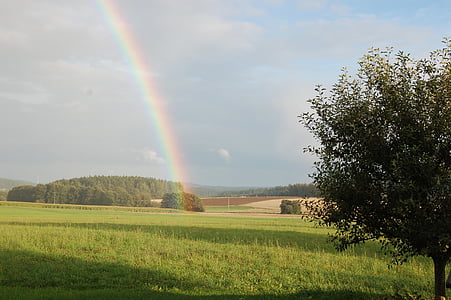 Rainbow, łąka, światło, Natura, niebo, nastrój, naturalny spektakl
