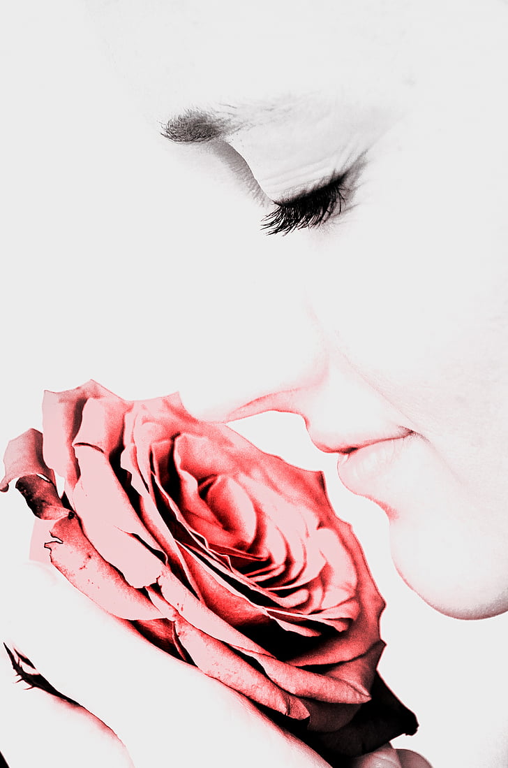жінка, Троянди, люди, портрет, макрос, Кохання, запах