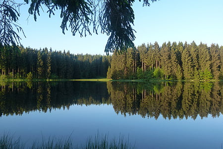 Landschaft, Natur, See, Idylle, Harz, Wald, Bäume