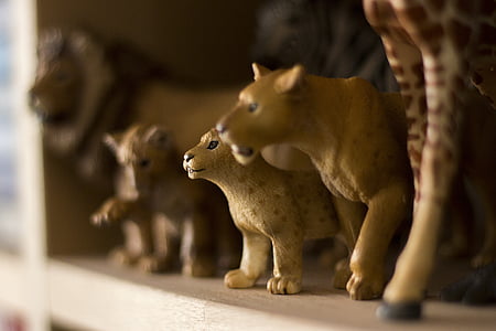 figuras, brinquedos, Schleich, Leão, África, crianças, filhote de leão