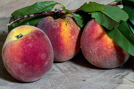 fruits, Peaches, Direction générale de la, mûres, feuilles, fruit à noyau, verger