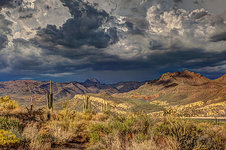 arid, cactus, cloud formation, dark clouds, daylight, desert, hills