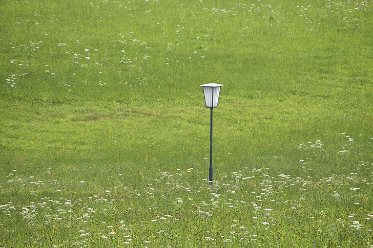 lamp, meadow, lantern, nature