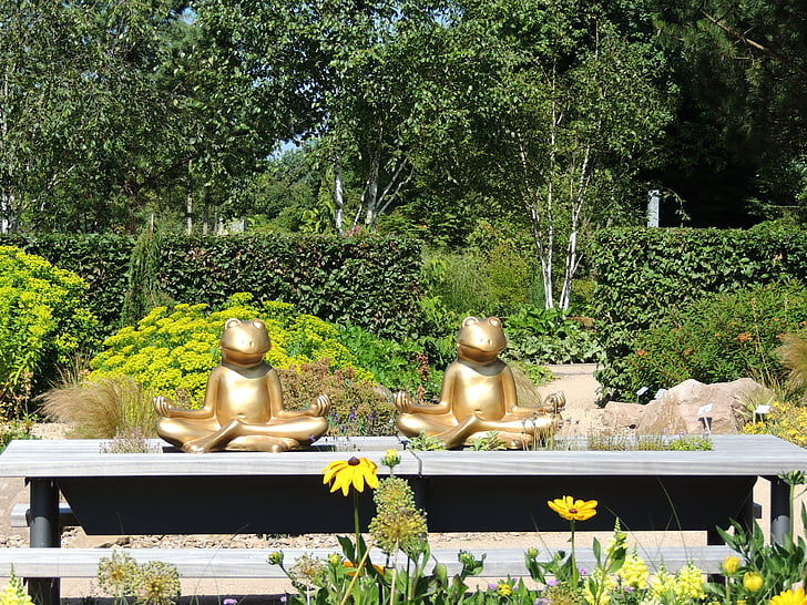 Parque jardín, rana, meditación, Deco, oro, Bad zwischenahn