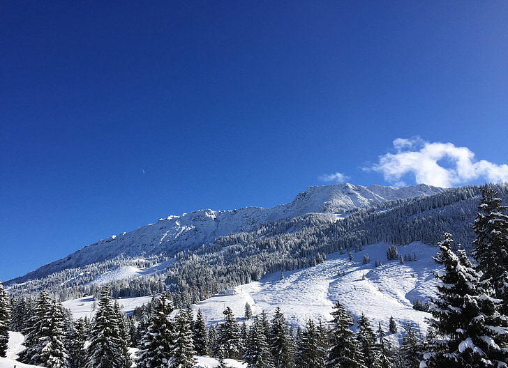 Allgäu, Bayern, Oberjoch, vinter, bergen, blå himmel, Panorama