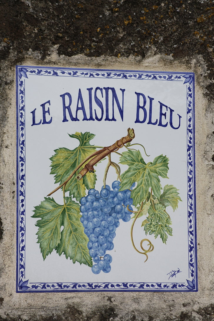 plate, vīnogu, Francija, māca