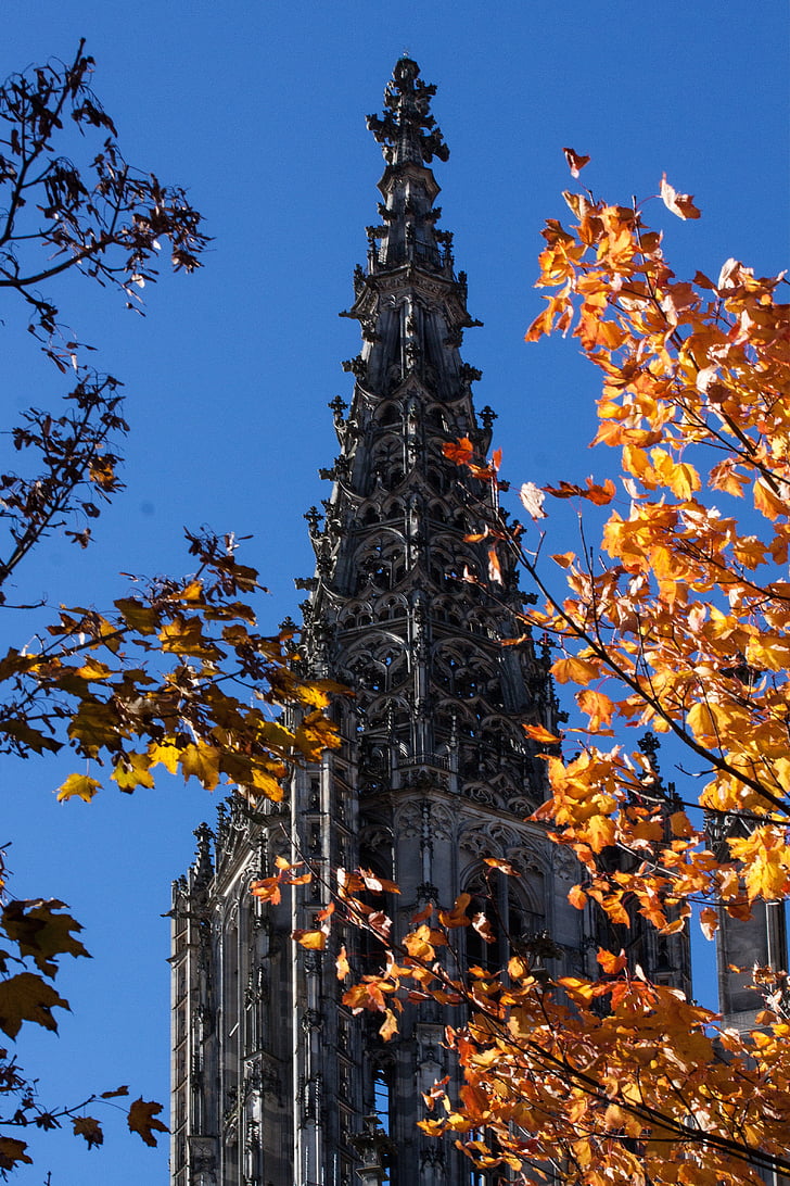 Ulm katedrāle, arhitektūra, ēka, baznīca, galvenais tornis, rudens, debesis