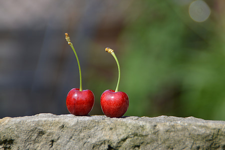 Cherry, delicioase, drag, sănătos, natura, individual, alege