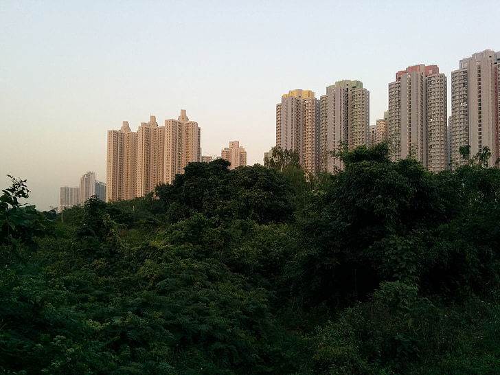 wolkenkrabbers, regenwoud, Hong-kong, stad, moderne, Park, stadspark