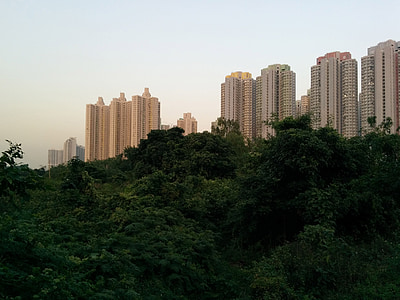 grattacieli, foresta pluviale, Hong-kong, città, moderno, Parco, Parco della città