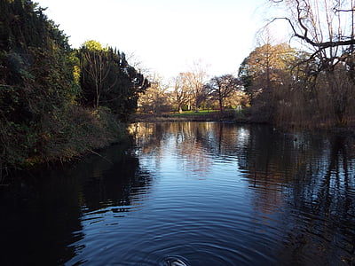 Edimburgo, Jardín Botánico, característica del agua, Lago, naturaleza, árboles, Escocia