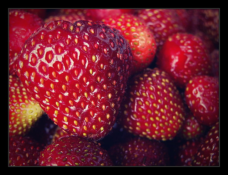 jordgubbe, trädgård, röd, fostret, makro, jordgubbar, frukt