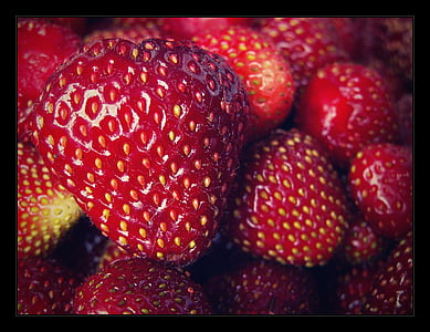 딸기, 정원, 레드, 태아, 매크로, 딸기, 과일