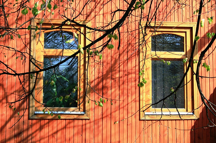 Windows, to, glas, ruder, refleksion, bygning, træ