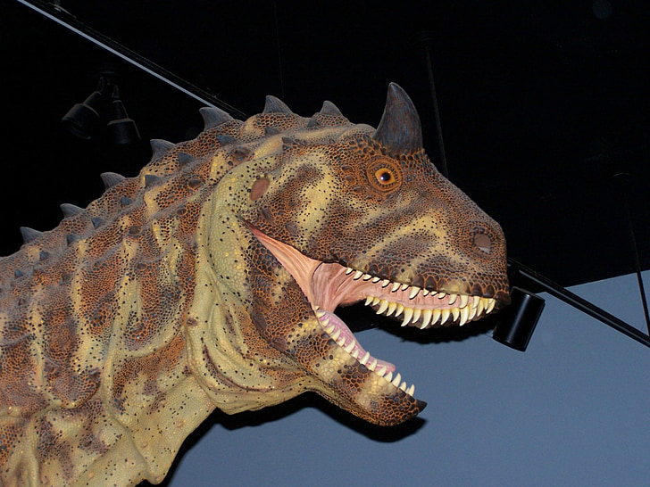 dinosaur, Museum, model, palæontologi, uddød, forhistoriske