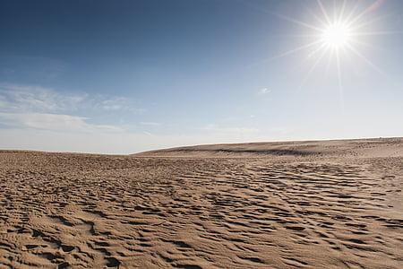 desierto, cielo, arena, dunas, seco, sol, rayo de sol