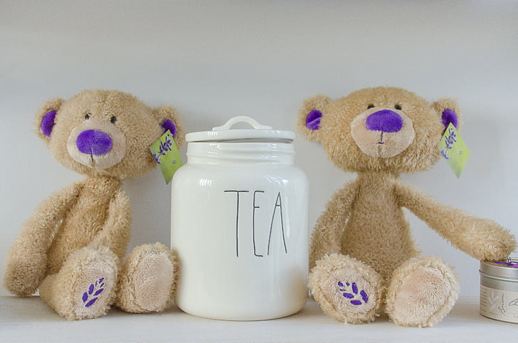 τσάι, αρκούδες, Λεβάντα, κατάστημα, αρκουδάκι, παιχνίδι, αρκούδα