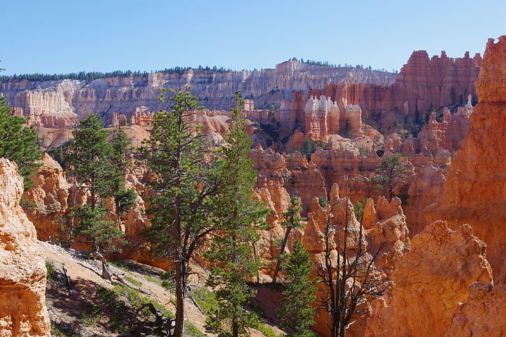 Bryce, Canyon, rock, oblikovanje, skala, nacionalni, Park