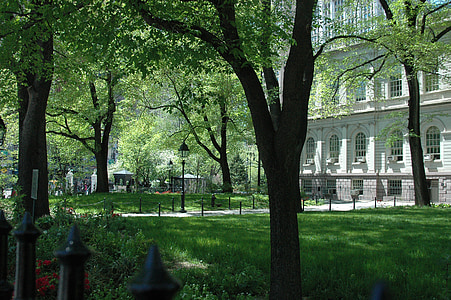 nyc, city hall, park, building, trees, architecture, place