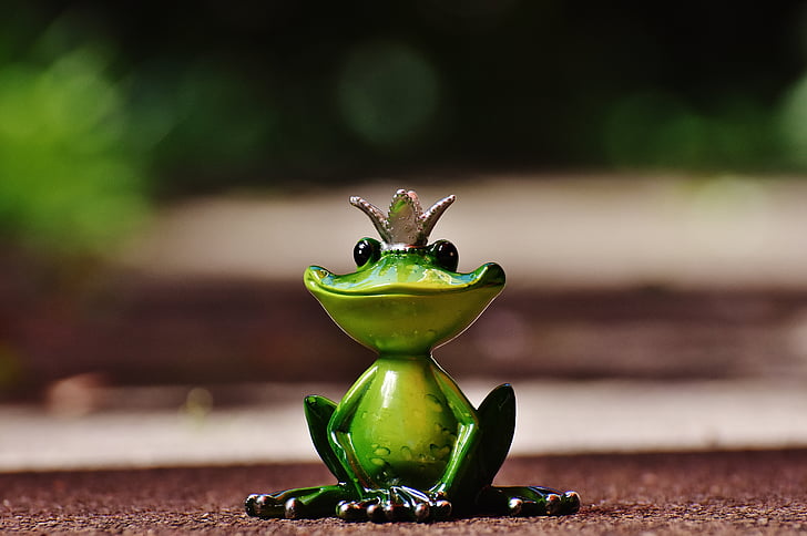 žaba, žaby princa, Crown, obrázok, milý, smiešny, sladký