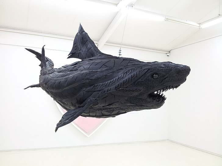 art, shark, art gallery