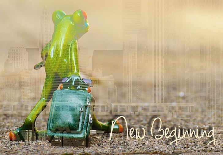 žaba, nov začetek, premikanje, čas za druge načine, slovo, potovanja, prtljage