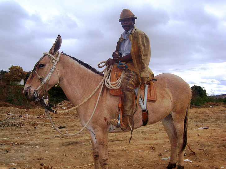 cowboy de masse, Vale jequitinhonha, Araçuaí, Cow-Boy