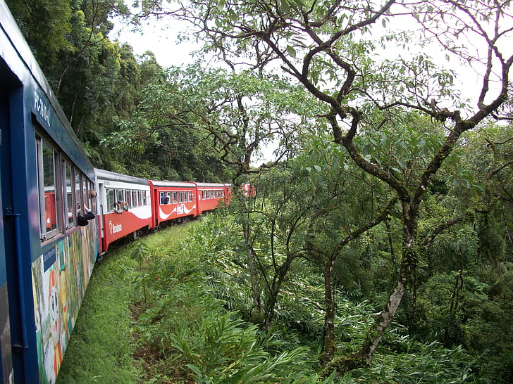 train, paysage, nature, vieux train