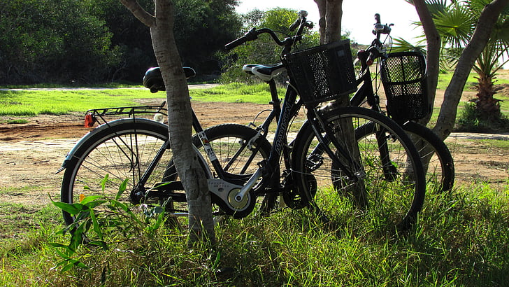 jalgrattad, loodus, sügisel, bike, vaba aeg, Sport, tegevus