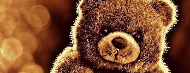 medveď, Teddy, Plyšová hračka, Plyšák, Medvedík, medveď hnedý, deti