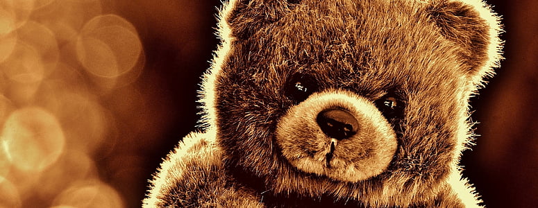 beruang, Teddy, mainan lunak, boneka binatang, boneka beruang, beruang cokelat, anak-anak