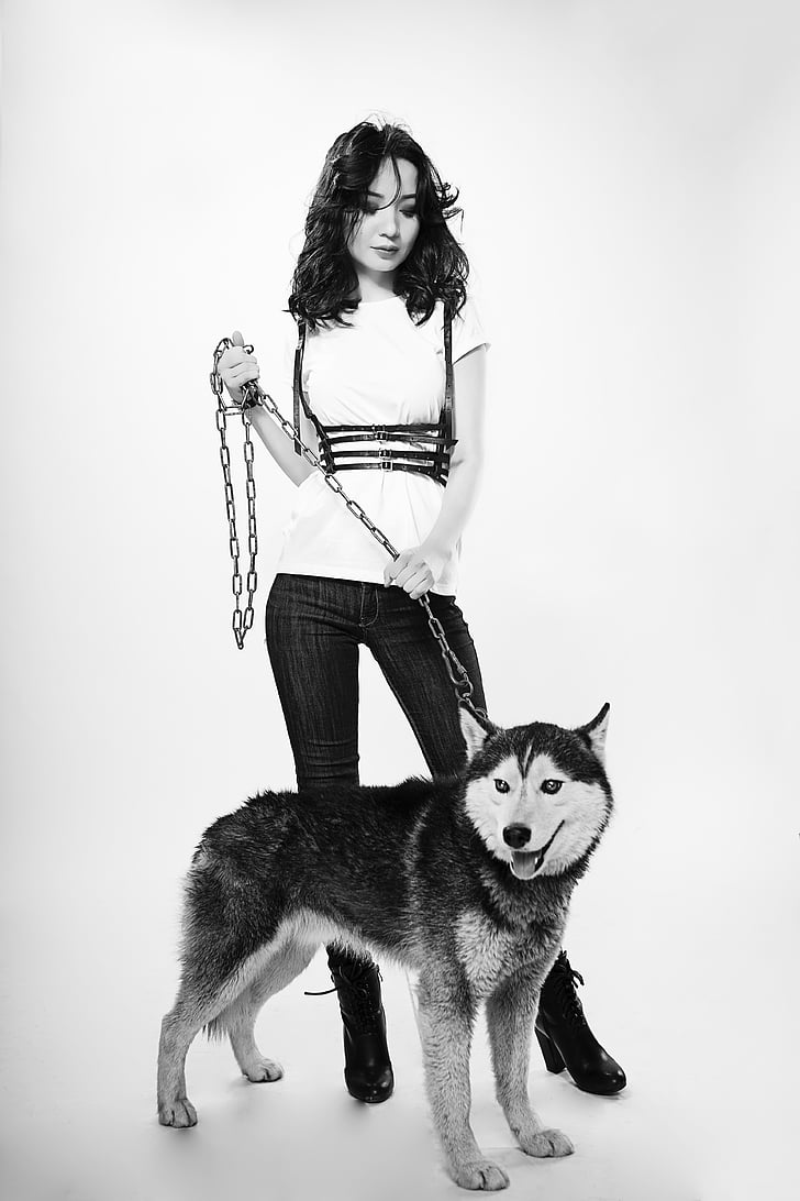 jeune fille, chien, Husky, sexy, animaux de compagnie, noir et blanc, animal