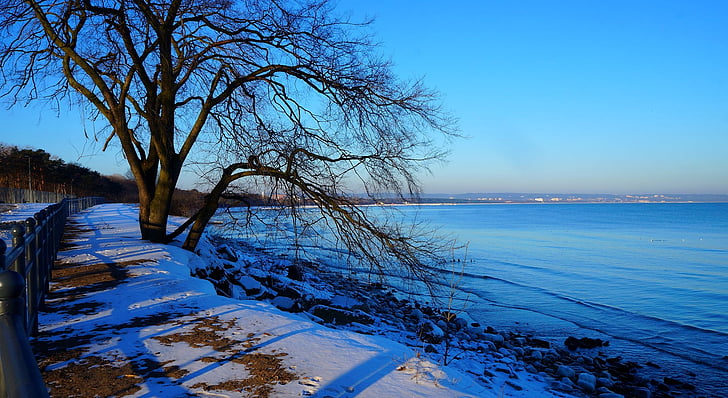 Príroda, Zobrazenie, miesto, zimné, sneh, more, Baltského mora